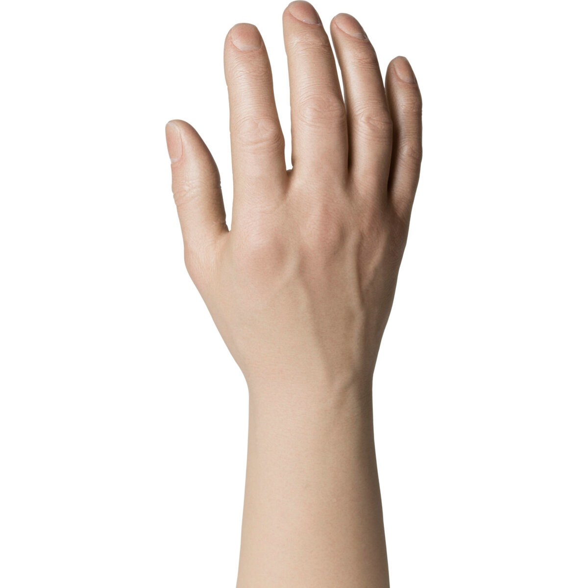 Natural Definition Glove Male – 30913/30914 Prominent Veins