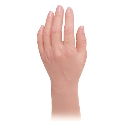 Gants feminin de silicone avec main passif en mousse et connecteur (Modèles 120/120L)