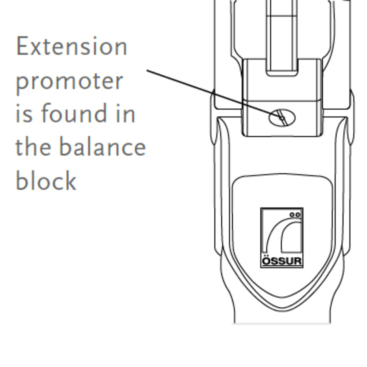 Promoteur d’extension